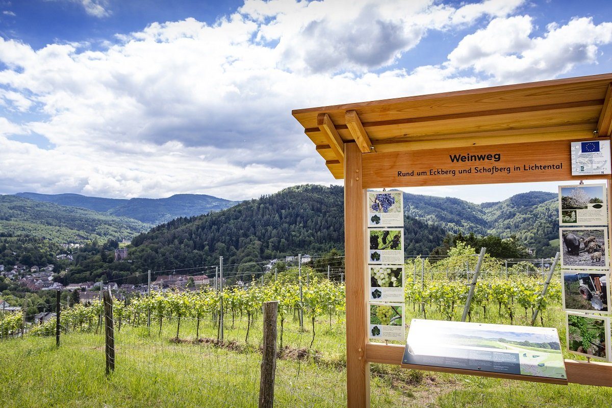 Weinweg-Station mit Infotafel über den Reben von Lichtental, Blick auf Baden-Baden